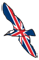 gabbiano con i colori della bandiera inglese