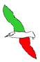 gabbiano con i colori della bandiera italiana
